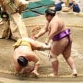 十両・輝、生田目に突き落とされ２敗目「最後に攻め急いでしまった」十両優勝争いは単独２敗で首位