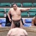 朝阪神が引退「記録上は無休」憧れの鉄人・金本知憲氏を見習い10年半にわたる土俵人生に幕