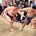 藤ノ川が４敗で優勝争いから後退　美ノ海に敗れ、２ケタ勝利お預け