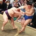 関脇藤ノ川が４敗目　美ノ海は沖縄県出身で初の三役に前進