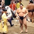 波乱！大の里が２敗目　３敗死守の安青錦、朝乃山とは１差に…２６日に大の里が勝ち、３敗の２人が敗れれば、大の里の優勝決定