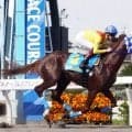 フライトライン産駒のロイヤルエンペラーが浦和でのデビュー戦を７馬身差圧勝　笹川翼騎手絶賛「走りが軽いし、芝でも良さそう」
