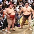 朝乃山が３敗を守り、優勝戦線にとどまる　熱海富士に勝ち、２３年夏場所以来の２ケタ勝利…大の里の１３日目Ｖは消える