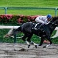 【シリウスS予想】前走3着も着差が大きなマイナス材料!? 競馬の形にも注文がつく信頼しきれない人気馬