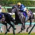 【毎日王冠想定馬・騎手】リアライズシリウス、ホウオウビスケッツなど18頭
