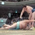 安青錦が３敗を守り、Ｖ争いに踏みとどまる　琴桜に勝ち、２連覇の可能性残す