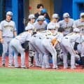 【阪神】虎党が横浜スタジアムに大挙　黄色と青が球場を二分　当初「Xデー」予測が影響か