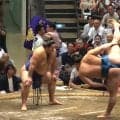 「髪の毛パープルやん」大相撲、あまり映らない特等席に“大物MC”が鎮座「品格が違う」