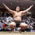幕下の可貴は脳震盪で休場　追手風親方「次の日になって『頭が痛い』と言ってきた」