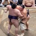 歴代最長43場所ぶりV射程！朝乃山「胸を借りるつもりで」熱海富士を寄り切り10勝目