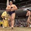 【解説】大の里は体を預けすぎたのが敗因　１２番と１３番では同じ優勝でも重みが違う