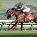 【２６日の注目・中山５Ｒ】ツルマウカタチ、アサマノイタズラ、エンギダルマ…「上毛かるた」由来馬がまたまたデビュー　ブンブクチャガマ