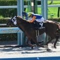 【シリウスS予想】ダート中距離路線の前哨戦 阪神2000mハンデ重賞は底力勝負