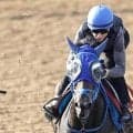 【注目馬動向】エリザベス女王杯直行が決定　毎日王冠を回避したラフターラインズ、蹄の状態が落ち着いたため