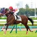 【中山５Ｒ】兄２頭が重賞ウィナーのフェイマスジャズ初陣Ｖ　杉原誠人騎手「体力があるのは分かっていた」