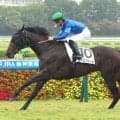 【阪神５Ｒ・２歳新馬】川田将雅騎手「将来が楽しみな一頭」　出遅れたネーロノワールが豪快に突き抜ける