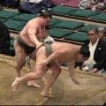 旭富士６勝１敗で今場所終える、史上最速タイ新十両は確実【大相撲】