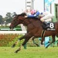 【中山９Ｒ・芙蓉Ｓ】２番人気のスタースポットが２連勝でオープンＶ　ルメール騎手「坂をのぼってから...」
