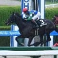 【ヤマボウシ賞結果】3番人気エランヴィータがデビュー2連勝