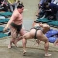 横綱のしこ名を継ぐ旭富士が６勝目　連続各段優勝は４で止まるも史上最速新十両は確実
