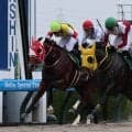【シリウスＳ】７歳馬ヴァルツァーシャルが２年半ぶり復活星　２８戦目最長２０００メートルでライバル撃破
