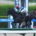 【JRA・WIN5】本日のWIN5は的中62票、配当450万8390円