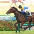 【中山１１Ｒ・秋風Ｓ】３歳サウンドムーブが２馬身差の完勝　１番人気に応え津村明秀騎手「上でもやれそうです」