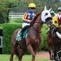 【シリウスＳ】川田将雅騎手「パドックの時点で歩けていなかったですね」昨年２着馬サイモンザナドゥは１０着