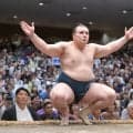 安青錦が３敗死守　２場所連続Ｖの可能性つなぐ　霧島に勝って７日目から８連勝　賜杯の行方は千秋楽へ