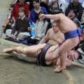 藤ノ川が新関脇で１０勝目　朝乃山に逆転勝ち、大関昇進の起点となる２ケタ勝利到達