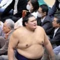 横綱・大の里が３敗でトップ並ばれる　八角理事長「集中し切れていない」　賜杯かけて千秋楽は大関・安青錦との相星決戦　