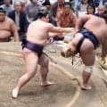 義ノ富士、熊本地震で被災した実家は立て直しへ、５連敗スタートから「勝ち越して帰れる。よかった」