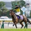 【AI予想・スプリンターズS】秋のスプリント王決定戦は前走1番人気に注目!? 高松宮記念のリベンジに燃える人工知能の本命馬