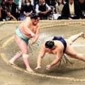 大関・琴桜が横綱・大の里撃破　３場所ぶりの２桁勝利に王手も「喜んでいる場合じゃない」