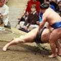 朝乃山、痛恨の４敗目喫しV消滅も報道陣に「ひきずられますね…暗い顔しないで下さい」笑い誘う