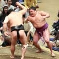 若元春、11場所ぶりの２ケタ白星「特に考えてない。自分の相撲をとりたい」