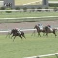 「ヤバいやつが出てきた」“ハンサムな”2歳馬、重馬場で7馬身差独走…ファン大盛り上がり「男前な勝ち方！」