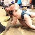 安青錦　８連勝で追い付いた　２場所連続Ｖへ大の里と千秋楽決戦　綱とり重圧も口笛余裕アリ「特に考えていない」