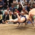 大の里が痛恨連敗　１年ぶり復活Ｖへ安青錦と千秋楽決戦　独走ムードから一転、重圧も「逆に集中できていいと思う」