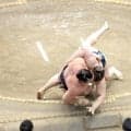 【元大関・琴風の目】最後まで頭を上げなかった安青錦の勝因、勝ち急いだ大の里の敗因…千秋楽決戦は土俵際がポイントだ
