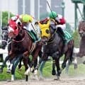 【シリウスＳ・レースメモ】斎藤新騎手が初騎乗で初勝利　重賞は２４年の新潟大賞典（ヤマニンサルバム）以来通算７勝目