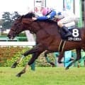 【芙蓉Ｓ】スタースポットがエフフォーリア産駒のＯＰ勝ち一番乗り　林調教師「これからますます先が楽しみ」