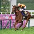 【スプリンターズS予想】秋の短距離王決定戦 歴代覇者集う急坂中山1200m