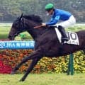 【阪神５Ｒ・２歳新馬】ネーロノワールが最後方追走もノーステッキでＶ　斉藤崇調教師「ゲート以外は言うことない」