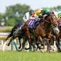 【スプリンターズS予想】7番人気以下を馬券に入れるのが正解？ 過去データから探るGIスプリンターズS