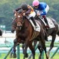 ルメール騎手「走りにくい」「内側が…」スプリンターズＳ当日の中山競馬場の芝は力を要する傾向