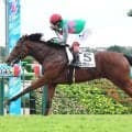【中山４Ｒ・２歳新馬】７番人気ミエノヴィヴィッドが５馬身差圧勝　三浦皇成騎手「身のこなしすごくいい」