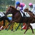 【阪神5R新馬戦結果】シンガリ人気のメモリーブックが差し切りV フィレンツェファイア産駒