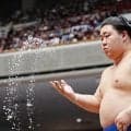 ３大関を破った関脇藤ノ川が敢闘賞受賞　高安は勝ち越して大の里Ｖなら殊勲賞