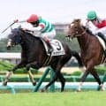 【中山５Ｒ・２歳新馬】ルメール騎手「この馬場で小柄な体が良かった」マリアライトの子ダイアナマリアが人気に応える
